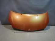 MOTORHAUBE Renault Twingo 2 (CNO)