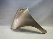 Mercedes A170 W169 Kotflügel vorne links 5-Türer, Seitenwand vorne links 
Farbcode: 791 Dünenbeige Metallic