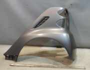 KOTFLÜGEL Hinten Links Smart fortwo (451) EAI Titania Grey Matt