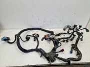 Kabel Motor Motorkabelbaum 9H07 DV6UC PEUGEOT EXPERT KASTEN (VF3A, VF3U, VF3X) 1.6 HDI 66 KW 1440164280