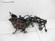 Kabel Motor Motorkabelbaum D7F 800 RENAULT TWINGO II (CN0_) 1.2 43 KW 8200908674