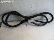 Dichtung Karosseriedichtung Tür vorne rechts AUDI Q7 (4L) 3.0 TDI 171 KW