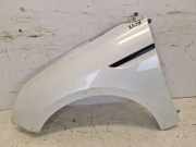 Kotflügel vorne links TEQNC - Blanc Nacre Perl RENAULT MEGANE IV GRANDTOUR (K9A/M/N) 1.2 TCE 13 97 KW