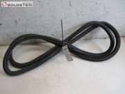 Dichtung Karosseriedichtung Tür hinten rechts AUDI Q7 (4L) 3.0 TDI 171 KW