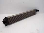 Ladeluftkühler D19AA SUZUKI SX4 (GY) 1.9 DDIS 88 KW 1362079J51