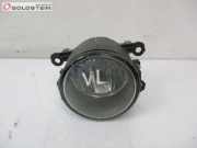 Nebelscheinwerfer passt für links und Rechts RENAULT MEGANE III COUPE (DZ0/1_) 1.5 DCI 81 KW 89202503