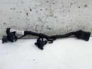 Kabelbaum Einspritzanlage C12LSED FORD KA (RU8) 1.2 51 KW AG0083888B