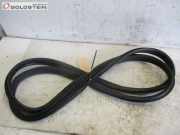 Dichtung Türdichtung Karosseriedichtung vorne rechts FORD GALAXY 2.0 TDCI 105 KW