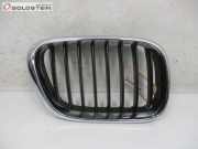 Kühlergrill Ziergitter Niere Rechts BMW X5 (E53) 3.0I 170 KW 8247674