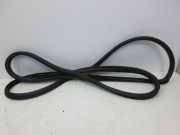 Türdichtung Türgummi Karosserie hinten links SUBARU TRIBECA 3.6 190 KW