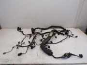 Kabel Motor Motorkabelbaum 651950 MERCEDES-BENZ V-KLASSE (W447) V 220 CDI/D 120 KW A6510104622