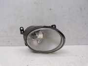 Nebelscheinwerfer rechts VW PHAETON (3D_) 4.2 V8 4MOTION FL I 246 KW 3D0941700C