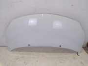 Motorhaube OV369 Blanc Glacier RENAULT TWINGO II (CN0) 1.2 16V FACELIFT 56 KW