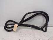 Türdichtung Türgummi Karosserie hinten links TOYOTA PRIUS (W3) 1.8 HYBRID 73 KW