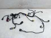 Kabel Motor Motorkabelbaum C12LSED FORD KA (RU8) 1.2 51 KW 55224115