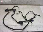 Kabel Tür Vorne Rechts NISSAN MURANO (Z50) 3.5 4X4 172 KW