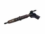 Einspritzdüse Injector Dieseldüse BJK VW CRAFTER 30-50 PRITSCHE/FAHRGESTELL (2F) 80 KW 076130277