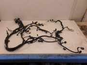 Kabel Motor Motorkabelbaum C15DSOX FORD GRAND C-MAX (DXA/CEU) 1.5 TDCI FL 88 KW J1DT-3C221-AFB/J1DT3C221AFB/J1DT-12C508-FGC