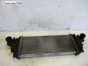 Ladeluftkühler Turbokühler Intercooler MERCEDES-BENZ R-KLASSE (W251, V251) R 320 CDI 4MATIC 165 KW A1645001900