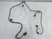 Kabel Kabelbaum PDC Einparkhilfe Hinten MERCEDES-BENZ B-KLASSE (W245) B 200 CDI 103 KW 1695407205