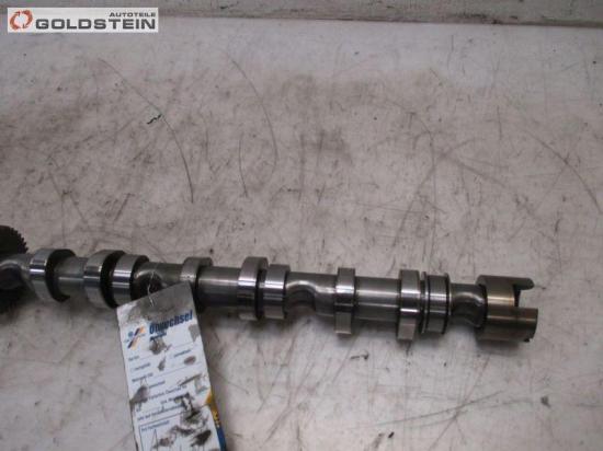 Nockenwelle Auslass Zylinderkopf rechts BKS VW TOUAREG (7LA, 7L6, 7L7) 3.0 V6 TDI 165 KW 53622901/030121115/059101CQ Bild Nockenwelle Auslass Zylinderkopf rechts BKS VW TOUAREG (7LA, 7L6, 7L7) 3.0 V6 TDI 165 KW 53622901/030121115/059101CQ