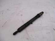 Einspritzdüse Injector Dieseldüse BDG AUDI A4 AVANT (8ED, B7) 2.5 TDI 120 KW 04532133785