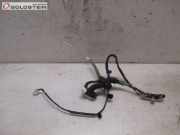 Kabel Tür Türkabelbaum Kabelbaum hinten links TOYOTA RAV 4 III (ACA3_, ACE_, ALA3_, GSA3_, ZS 100 KW
