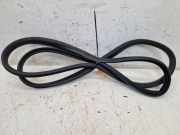 Türdichtung Türgummi Karosserie vorne links RENAULT ZOE (BFM) ZOE VE (B10) 80 KW