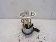 Kraftstoffpumpe Benzinpumpe BSE VW GOLF VI (5K1) 1.6 75 KW 1K0919051CK