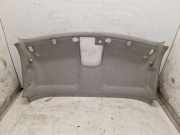 Himmel Grau Kabine Kurz RENAULT MASTER III KASTEN (FV) 2.3 DCI 125 FWD 92 KW