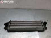 Ladeluftkühler Kühler Intercooler NISSAN PRIMASTAR BUS (X83) DCI 80 60 KW 7700312903