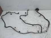 Kabel Motor Motorkabelbaum T25HDEX BGDA FORD KUGA III (DFK) 2.5 DURATEC PHEV 178 KW LX6T-14B599-NBF