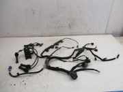 Kabel Motor Motorkabelbaum Zündspule C12HDEZ FORD FIESTA VI 1.25 60 KW BA6T-12A522-ACB~CM5G-12029-FA