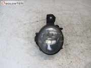 Nebelscheinwerfer links BMW X5 (E70) 3.0 D 173 KW 89206152/6924655