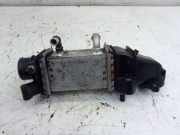 Ladeluftkühler SKODA FABIA III KOMBI (NJ5) 1.4 TDI 77 KW 04B145749K
