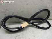 Dichtung Karosseriedichtung vorne rechts VOLVO S80 II (AS) D3 120 KW