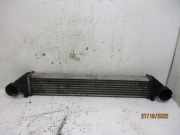 Ladeluftkühler MERCEDES-BENZ A-KLASSE (W169) A 180 CDI 80 KW A1695000000