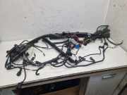 Kabel Motor Motorkabelbaum N52B30A BMW X5 (E70) XDRIVE30I 200 KW 7566463