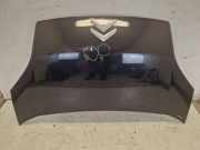Motorhaube 632 Black Pearl met CITROEN NEMO KOMBI 1.4 54 KW