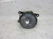 Nebelscheinwerfer links PEUGEOT 407 COUPE (6C_) 2.7 HDI 150 KW 9650001680