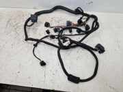 Kabel Motor Motorkabelbaum CGGA VW GOLF PLUS (521, 5M1) 1.4 16V 59 KW 036972619AE