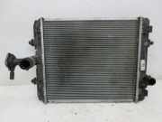 Kühler Wasserkühler Kühlmittelkühler TOYOTA AYGO (WNB1_, KGB1_) 1.0 FACELIFT I 50 KW CZ42217313420T