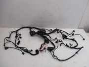 Kabel Motor Motorkabelbaum BDG AUDI A4 AVANT (8ED, B7) 2.5 TDI 120 KW 8E1971072SQ