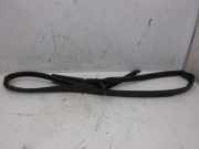 Frontscheibe Dichtung Windschutzscheibe AUDI TT ROADSTER (8N9) 1.8 T QUATTRO 165 KW 8N7845353B