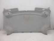 Himmel Fahrerkabine FIAT DOBLO CARGO CORTO SX 1.3 MJET E5+ (263) 66 KW