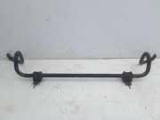 Stabilisator vorne DM=22mm RENAULT TRAFIC II KASTEN (FL) 1.9 DCI 100 74 KW 8200048177