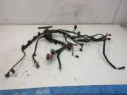 Kabel Motor Motorkabelbaum SPJE C14HDEZ FORD FIESTA VI 1.4 71 KW 8V5T12A522ACF