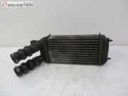 Ladeluftkühler PEUGEOT EXPERT KASTEN (VF3A_, VF3U_, VF3X_) 1.6 66 KW 0384K4