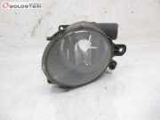 Nebelscheinwerfer links vorn VOLVO V70 III (BW) D5 136 KW 31213101