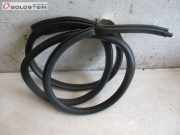 Dichtung Karosseriedichtung Tür hinten links BMW X1 (E84) XDRIVE18D 105 KW